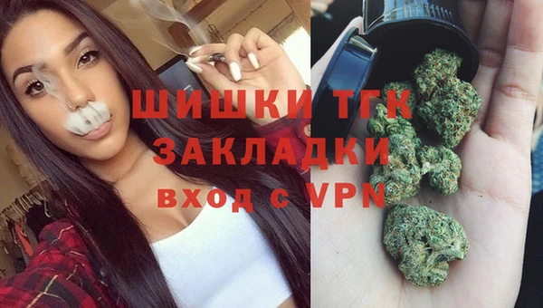 прущие грибы Балабаново