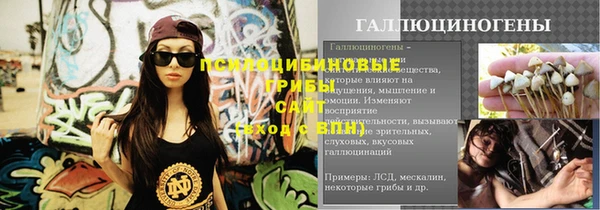 тгк Белокуриха