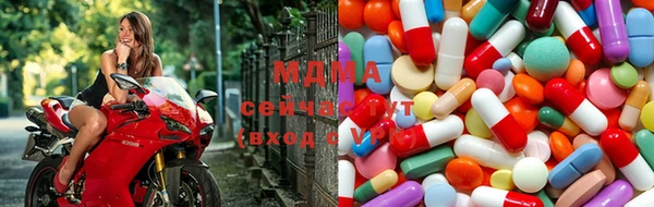 прущие грибы Балабаново